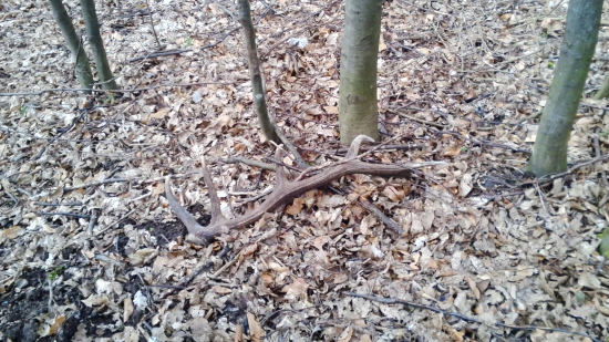 kamarátov vlaňajší