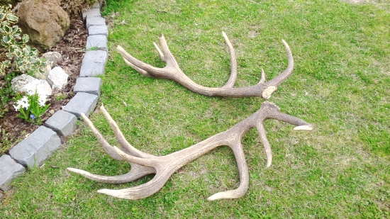 rok ležali iný pohlad