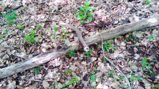 kamarátov zo soboty