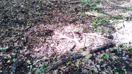 kamarátov zo soboty