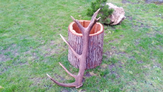 ešte jeden s tých krajších