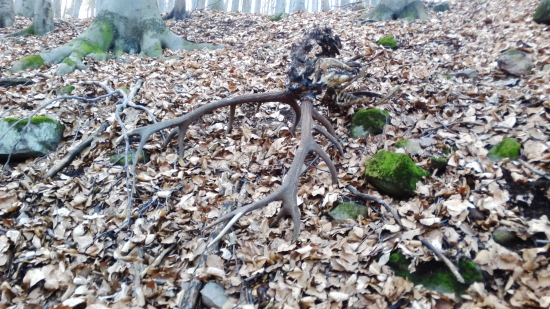 dnes po dlhom čase v hore s kamarátom