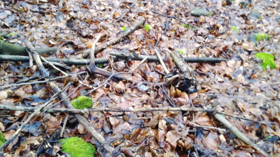 zo soboty kamarátov vlaňajší