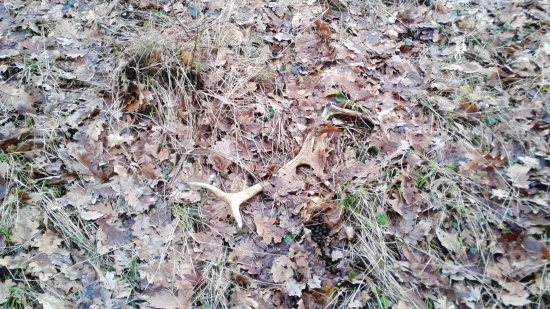 kamarátov zo soboty