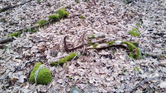 dnes kamarátov vlaňajší