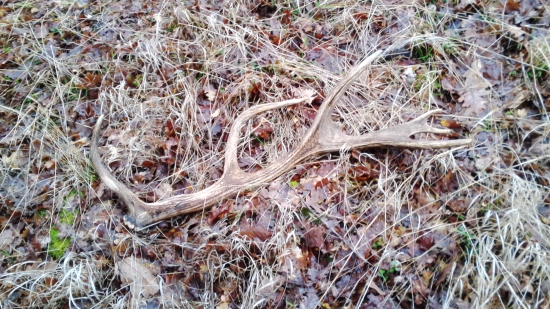 kamarátov zo včera