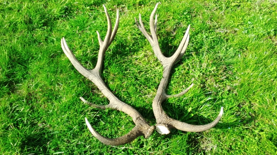 kamarátove konečne spolu