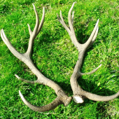 kamarátove konečne spolu