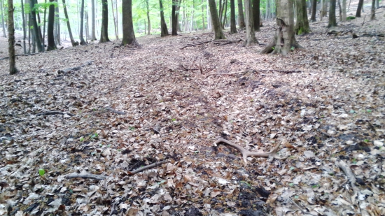 kamarátove v kolaji