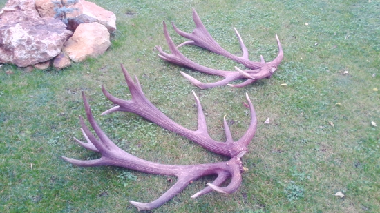 po roku iný pohľad