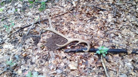 pri čistení chodníka