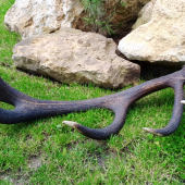 30 ročný zhod