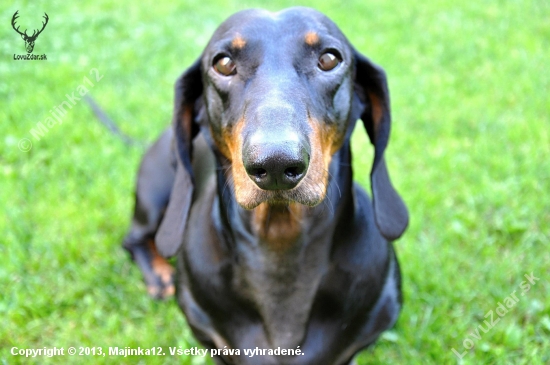 Cezar :)