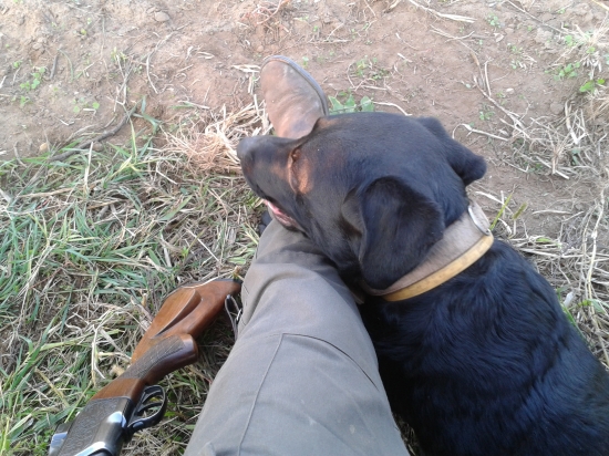 Pohoda počas prechádzky