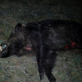 dakujeme diana  180kg