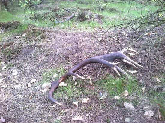 Tohtoročne 16-torak