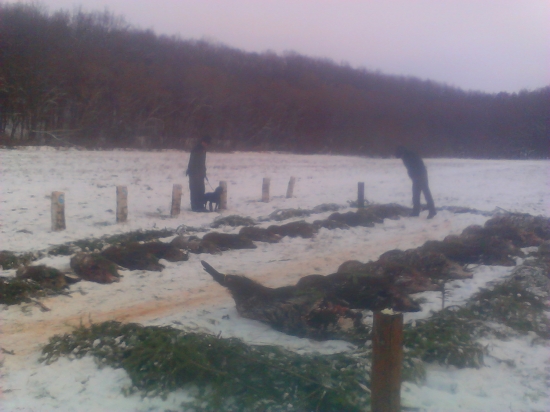 Spoločna Dchonka (pred vyradom)