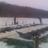 Spoločna Dchonka (pred vyradom)