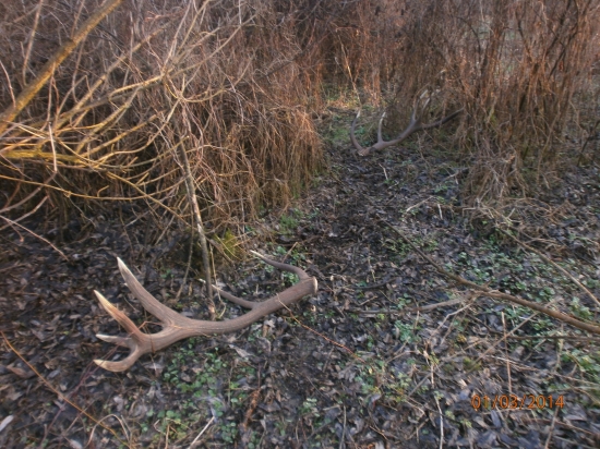 Kečkovský kráľ zhodil 8,4 kg