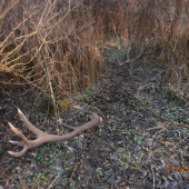 Kečkovský kráľ zhodil 8,4 kg