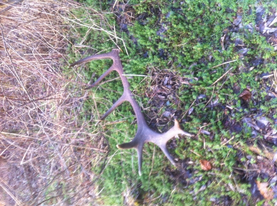 Dnešný z Kalinca 3,42