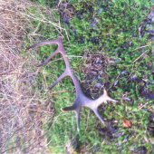 Dnešný z Kalinca 3,42