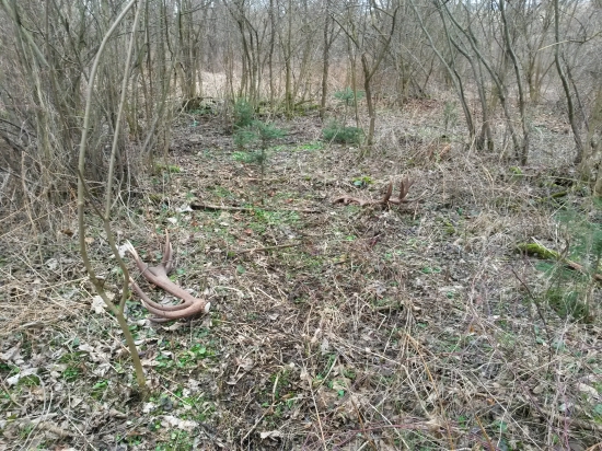 Kečkovce 2016 začiatok