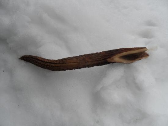 Hľadá sa zvyšok...