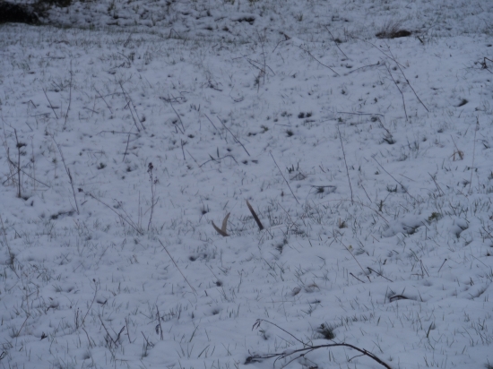 Poteši aj šestáčik