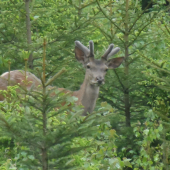 Naša budúcnosť...