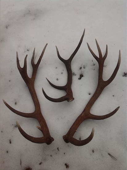 upršaná  nedeľa  ale...