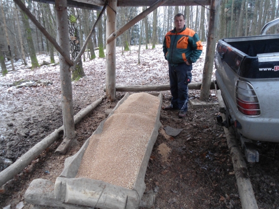 Večera je pripravená, prasiatka môžu prísť...