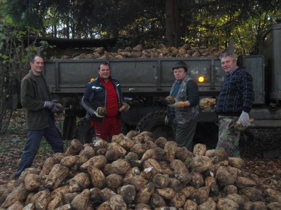 Zabezpečovanie krmiva - vzorný predseda s partiou