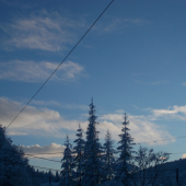 na dvore
