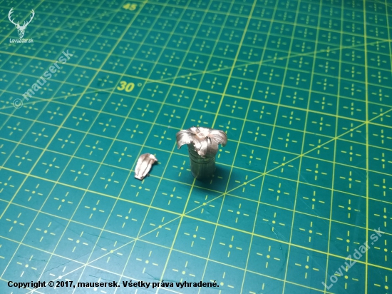 Barnes TTSX 168 gr, 308W