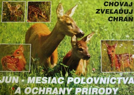 Jún mesiac poľovníctva.