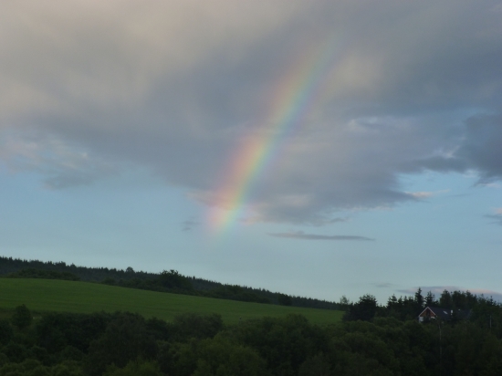 Podvečerná posiedka.