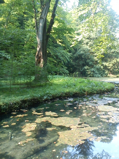 Magická krása zelene