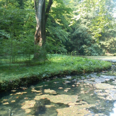 Magická krása zelene