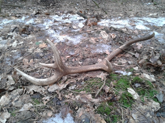 No konečne tohoročný 10 torák