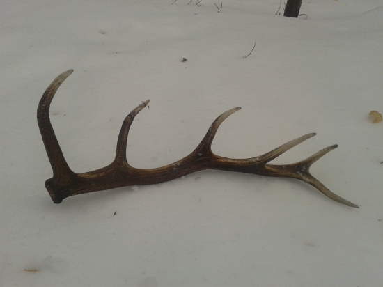 A tak sa mi ráno nechcelo vstávať