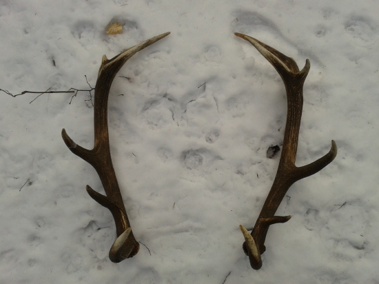 Na konci hľadania parka :)