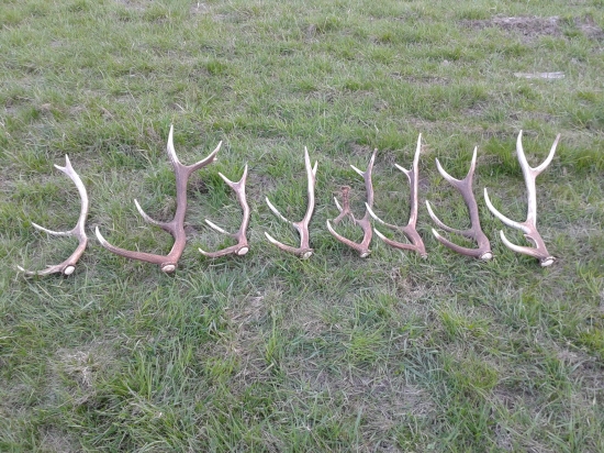 Neská s kamarátom  prvých 5 zľava je mojích