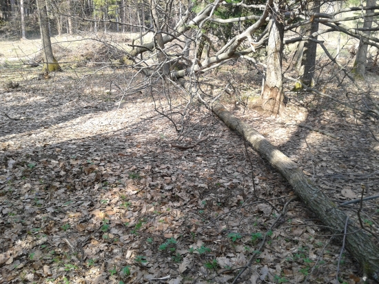 Ej pekný to pohľad