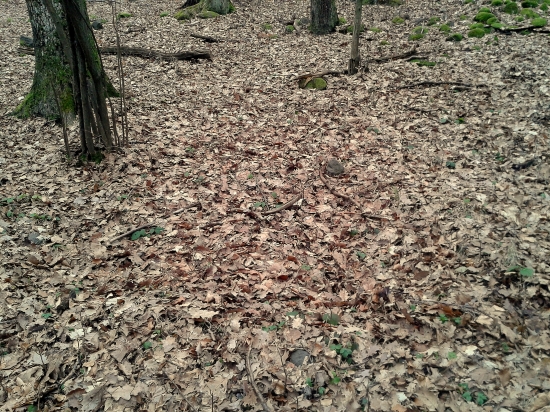 Kto má dobré oči uvidí :)