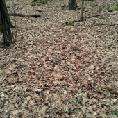 Kto má dobré oči uvidí :)