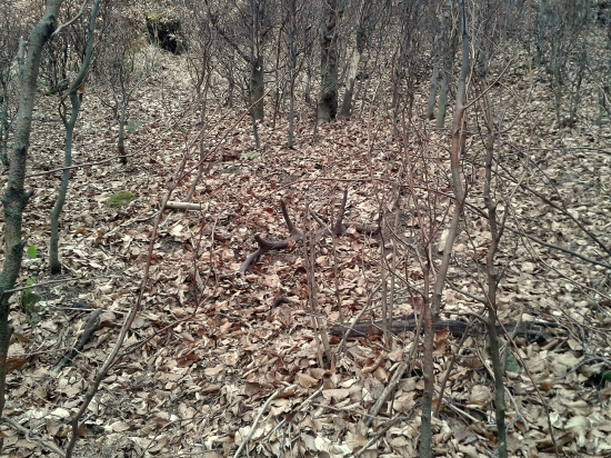 Ten pocit keď ... :)