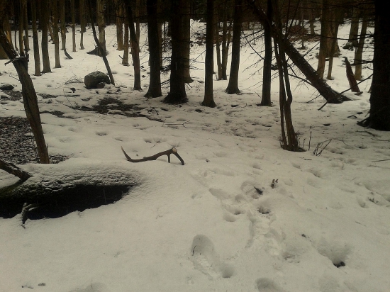 Potešenie pre dušu, pohľadenie pre oči