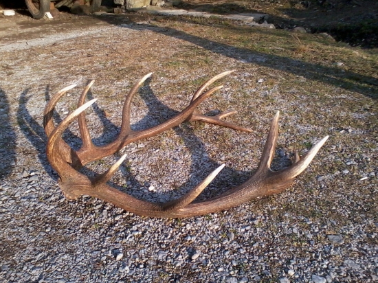 14torak ... 6kg .. marec rok 2012