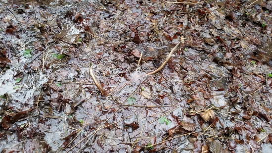 Prvý 2016 aj ked vlaňajší ale poteší